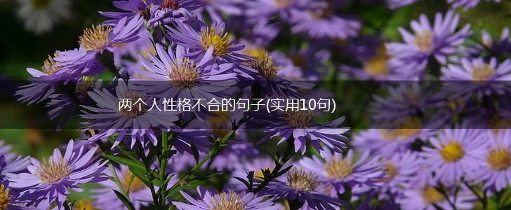 两个人性格不合的句子(实用10句),第1张