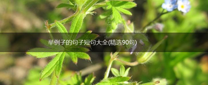 举例子的句子短句大全(精选90句),第1张