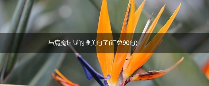 与病魔抗战的唯美句子(汇总90句),第1张