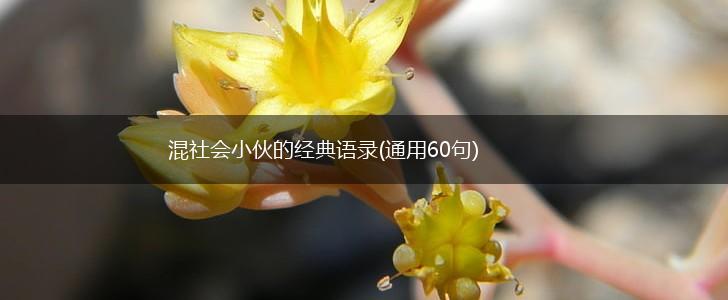 混社会小伙的经典语录(通用60句),第1张