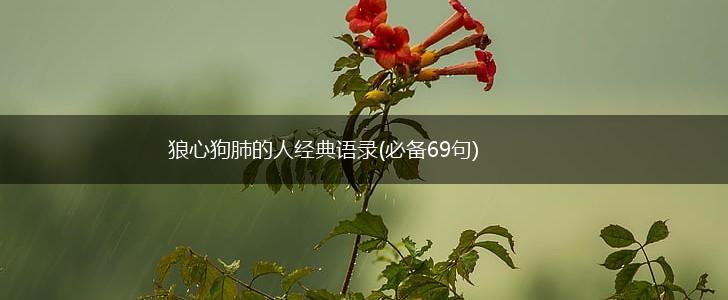 狼心狗肺的人经典语录(必备69句),第1张 狼心狗肺的人经典语录(必备69句),第1张