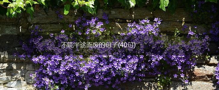 不能半途而废的句子(40句),第1张