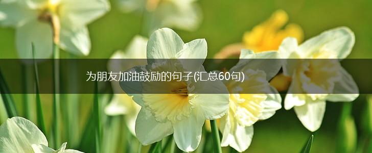 为朋友加油鼓励的句子(汇总60句),第1张