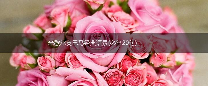 米歇尔奥巴马经典语录(必备20句),第1张