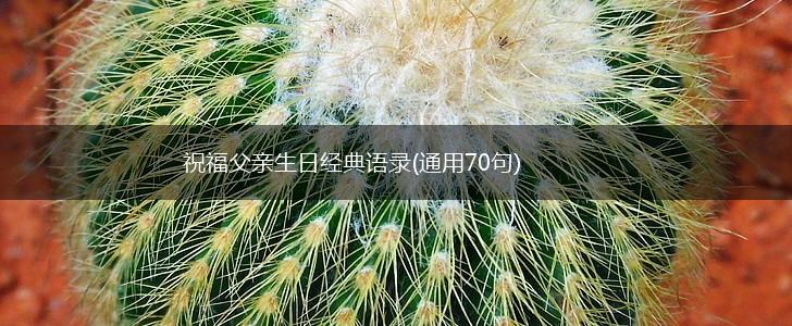 祝福父亲生日经典语录(通用70句),第1张