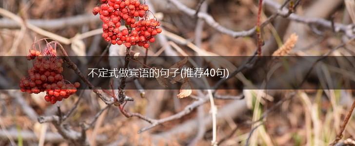 不定式做宾语的句子(推荐40句),第1张