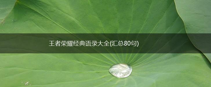 王者荣耀经典语录大全(汇总80句),第1张