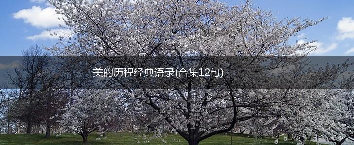 美的历程经典语录(合集12句),第1张