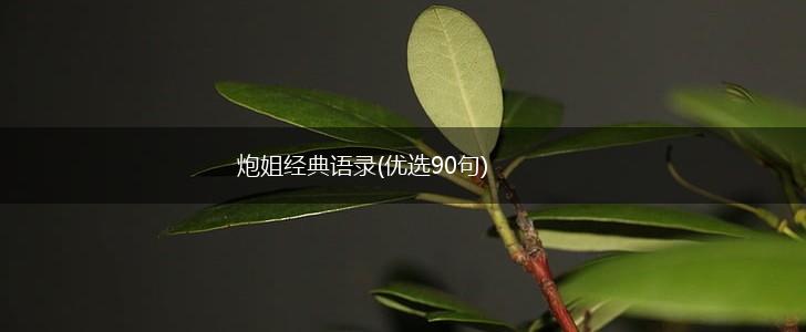 炮姐经典语录(优选90句),第1张 炮姐经典语录(优选90句),第1张