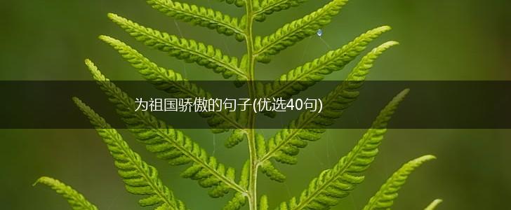 为祖国骄傲的句子(优选40句),第1张
