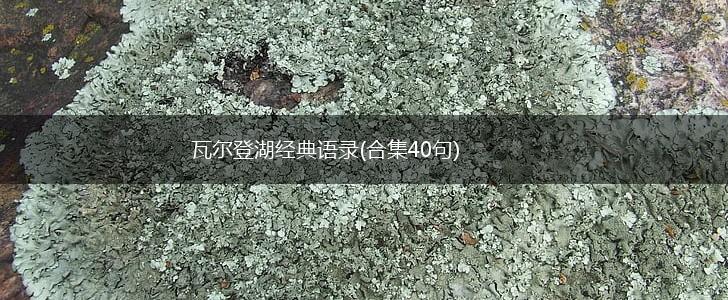 瓦尔登湖经典语录(合集40句),第1张 瓦尔登湖经典语录(合集40句),第1张