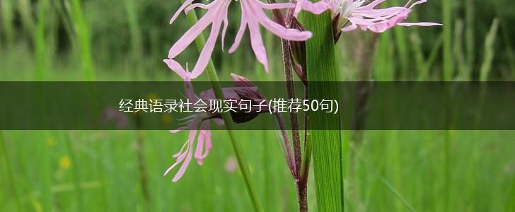 经典语录社会现实句子(推荐50句),第1张