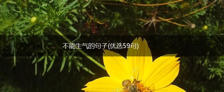 不能生气的句子(优选59句),第1张