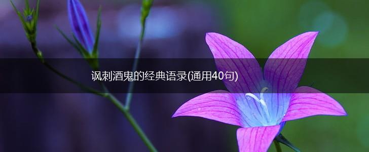 讽刺酒鬼的经典语录(通用40句),第1张