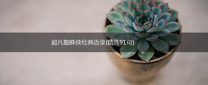 超凡蜘蛛侠经典语录(精选91句),第1张