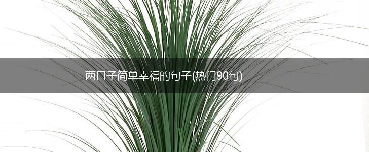 两口子简单幸福的句子(热门90句),第1张