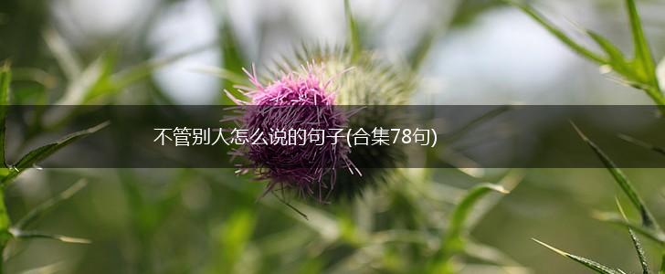 不管别人怎么说的句子(合集78句),第1张