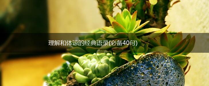 理解和体谅的经典语录(必备40句),第1张