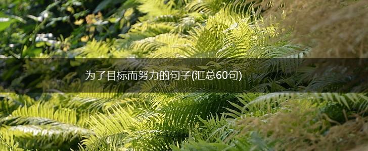 为了目标而努力的句子(汇总60句),第1张