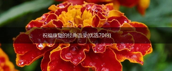 祝福康复的经典语录(优选70句),第1张