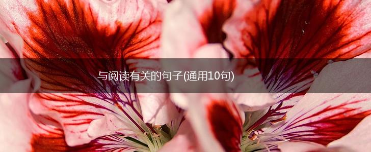 与阅读有关的句子(通用10句),第1张