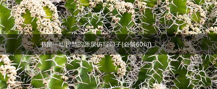书是一切智慧的源泉仿写句子(必备60句),第1张