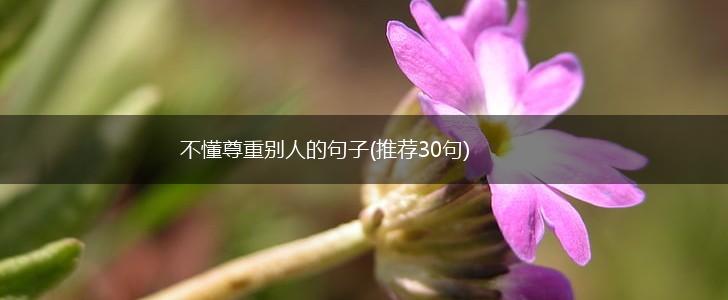 不懂尊重别人的句子(推荐30句),第1张