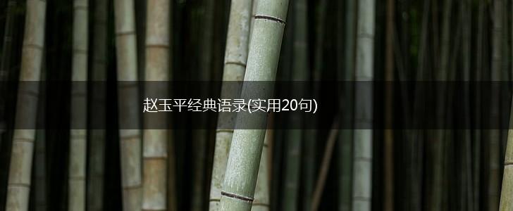 赵玉平经典语录(实用20句),第1张