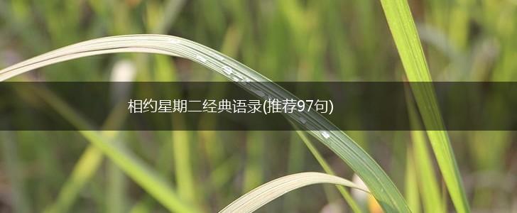 相约星期二经典语录(推荐97句),第1张