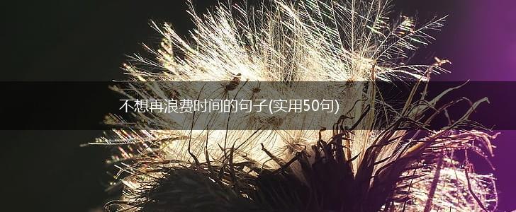 不想再浪费时间的句子(实用50句),第1张