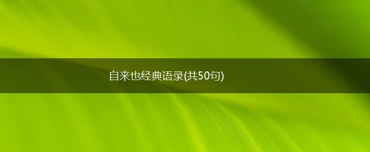 自来也经典语录(共50句),第1张