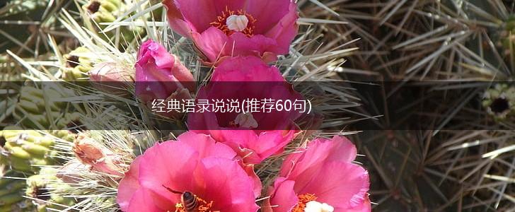 经典语录说说(推荐60句),第1张