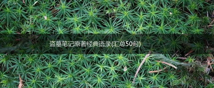 盗墓笔记原著经典语录(汇总50句),第1张