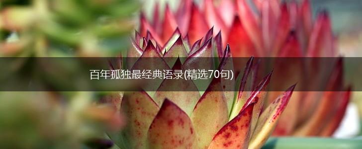 百年孤独最经典语录(精选70句),第1张