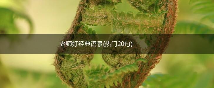 老师好经典语录(热门20句),第1张