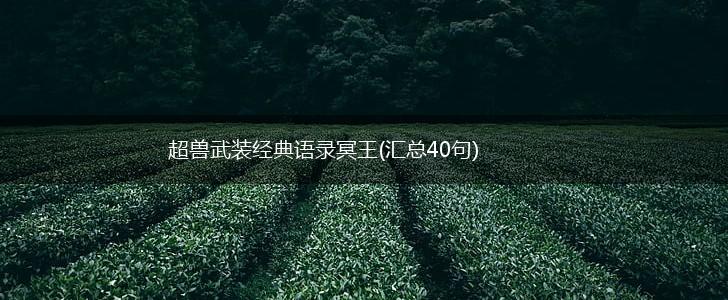超兽武装经典语录冥王(汇总40句),第1张 超兽武装经典语录冥王(汇总40句),第1张