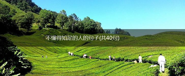 不懂得知足的人的句子(共40句),第1张