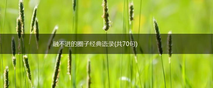 融不进的圈子经典语录(共70句),第1张