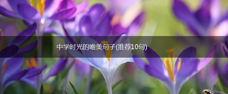 中学时光的唯美句子(推荐10句),第1张