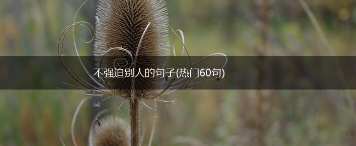 不强迫别人的句子(热门60句),第1张