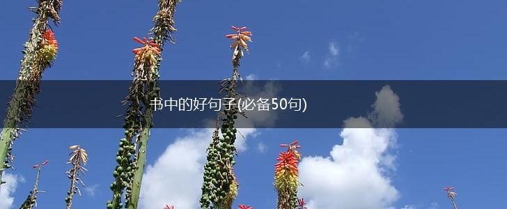 书中的好句子(必备50句),第1张