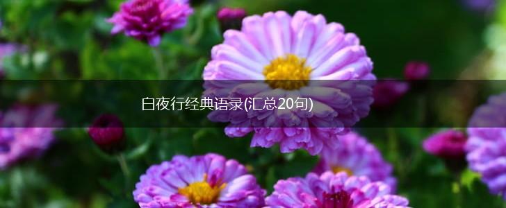 白夜行经典语录(汇总20句),第1张