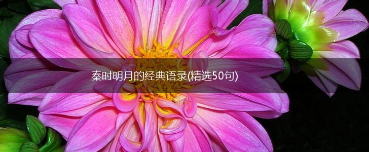 秦时明月的经典语录(精选50句),第1张