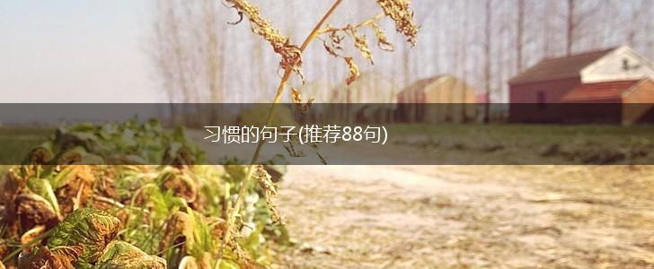 习惯的句子(推荐88句),第1张