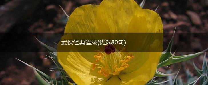 武侠经典语录(优选80句),第1张