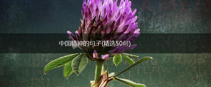 中国精神的句子(精选50句),第1张