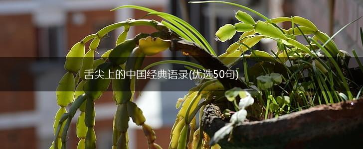 舌尖上的中国经典语录(优选50句),第1张