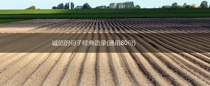 诚信的句子经典语录(通用80句),第1张