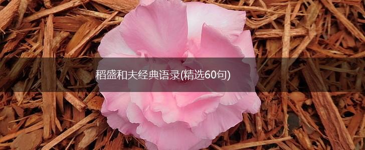 稻盛和夫经典语录(精选60句),第1张