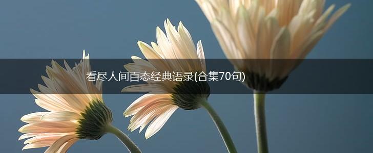 看尽人间百态经典语录(合集70句),第1张